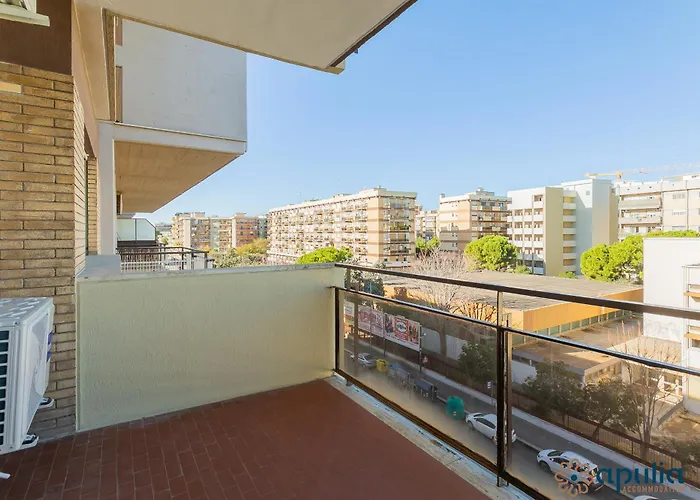 Fifty-one By Apulia